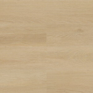  ^C CEbh 150mm×900mm P[X(20) | LxȐFƑlȃTCYBAȖؖڕvg^CBGR}[NF菤iB