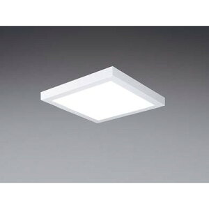 �y���� LED�o�[(���ʓr)�z���Ń��C�e�b�N ���� LED�x�[�X���C�g LEEM-P-50511N-LD9 ��̌`�X�N�G�A500���t5100N �����ʓr