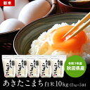 新米 2kg×5袋 小分けでお届け！送料無料 令和7年 秋田県産 あきたこまち 10kg (2kg×5袋) 白米 米 小分け お米 秋田米