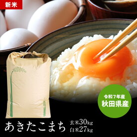 送料無料 米 令和7年産 秋田県産 あきたこまち 玄米30kg お米 秋田米