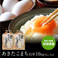 送料無料 令和7年産 秋田県産 あきたこまち 10kg 白米 精米 お米 秋田米 小分け