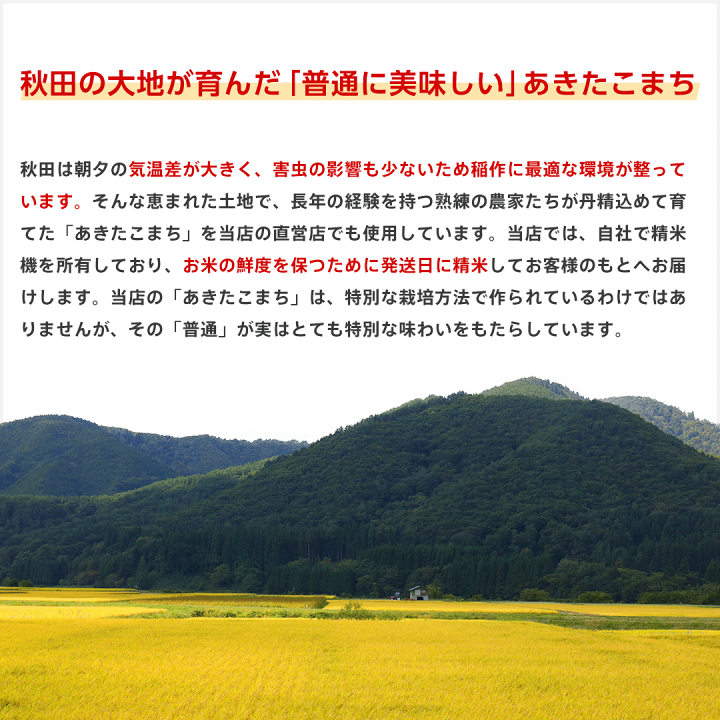 楽天市場】送料無料 米 令和6年産 秋田県産 あきたこまち 玄米
