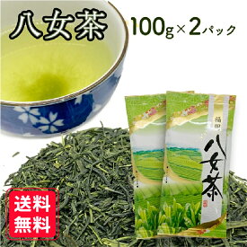 【お得な2パック】 八女茶 煎茶 100g×2P 福岡県産 人気 日本茶 送料無料 銘茶 茶葉 おうちごはん ご飯のとも ごはんのとも 産地厳選 店主厳選 お得 お買い得 家庭用 贈答用 ギフト 贅沢 ocha