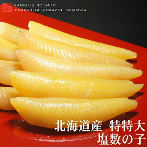 y\̔zyʉizyzkCY@̎q@@@@TCY@400gN̐V@󏭁@XIWiI̎q@󏭂ȖkCỶ̎q@Ƃ