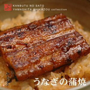 {̓ɂ߁yBY@Y͋{茧yYzȂĖƉu̓AbvɁI@RiEE݌ɏEXE󂠂EH(k/kC/͕