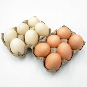 y ܂zEʎqitFCNt[hEHiTvj