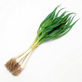 楽天市場 ネギ 造花 造花 人工観葉植物 花 観葉植物 花 ガーデン Diyの通販