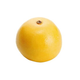 【造花】グレープフルーツ（果物・フェイクフード・食品サンプル）