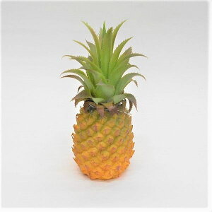 yԁzpCibv itFCNt[cEtFCNt[hEHiTvj