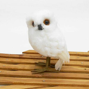 VtNE ӂ낤 ̒u ̒u ӂ낤