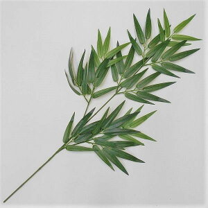 y zWpj[You[Xv[i|EtFCNO[EtElHϗtAj70cm