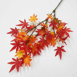 yԁz~WEgti݂ԁEtFCNO[ElHϗtAj