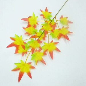 yԁz~WEgti݂ tFCNO[ lHϗtAj