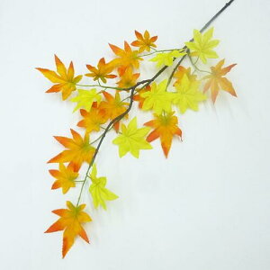 yԁz~WEgti݂ tFCNO[ lHϗtAj