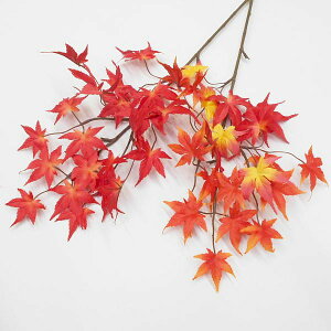  ~WEgtitFCNO[ A[gt[ lHϗtAj