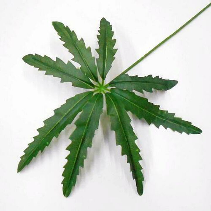 楽天市場】造花 フェイクグリーン マリファナ 大麻リーフ（人工観葉 