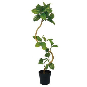 lHϗtA cCXgAeV} 120cmiCeAO[EtFCNO[EtFCNvgE[؁EAj