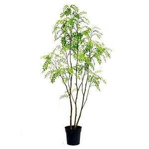 lHϗtA V}glR 150cmiCeAO[ ԁEtFCNO[EtFCNvgE[؁EAj