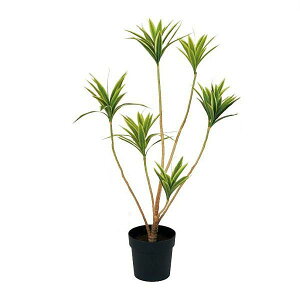 lHϗtA hZitNT 100cmiCeAO[ ԁEtFCNO[EtFCNvgE[؁EAj