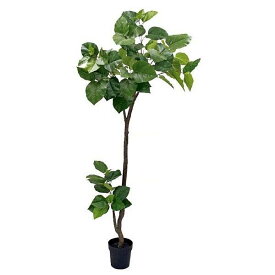 人工観葉植物 ウンベラータ 200cm（インテリアグリーン・フェイクグリーン・フェイクプラント・擬木・鉢植え）