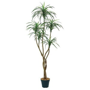 lHϗtA bJ 150cmiCeAO[ ԁEtFCNO[EtFCNvgE[؁EAj