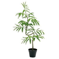 人工観葉植物 エバーフレッシュ 70cm アカサヤネムノキ（インテリアグリーン 造花・フェイクグリーン・フ…
