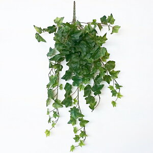 ACr[ubVoCiԁEtFCNO[EtElHϗtAj