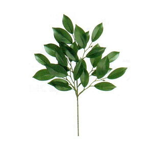   TJL 35cmi_I  tFCNO[EtElHϗtAj