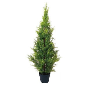 lHϗtA S[hNXg 120cmiCeA ԁEtFCNO[EtFCNvgj