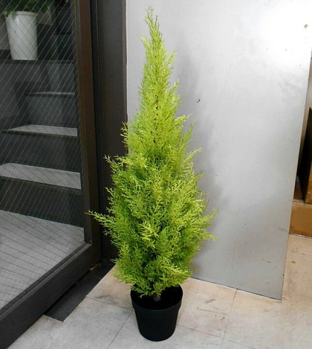 【ラテックス】人工観葉植物 ゴールドクレスト 90cm（造花・フェイクグリーン・フェイクプラント・小さいゴールドクレスト）