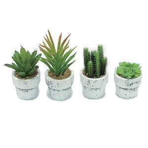 lHϗtA ~jA|bg 4ZbgiԁEtFCNO[j