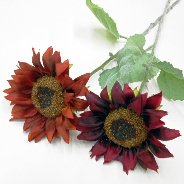 楽天市場 ヒマワリ造花 赤ヒマワリ造花 ひまわり サンフラワー フラワーデコレーション ハセガワ
