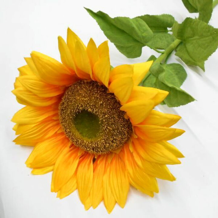 楽天市場 造花 ヒマワリ ジャンボサンフラワー リアル造花 ひまわり 向日葵 花径30cm 1輪 フラワーデコレーション ハセガワ