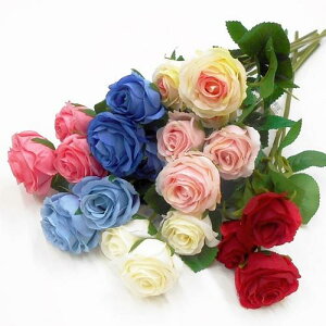 y ozLfB[Y 3ցi KNE΂E[Yj