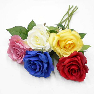 o ԁiA[gt[j1 iKNE΂E[Yj