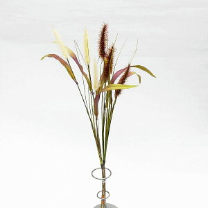  ˂炵 lRWV tFCNO[ GmROT