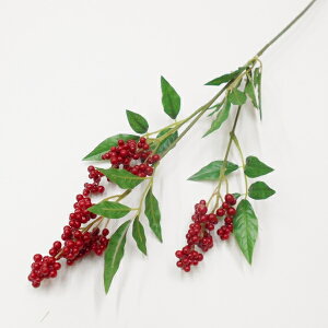 y VzViȂĂ񑢉ԁEA[gt[j