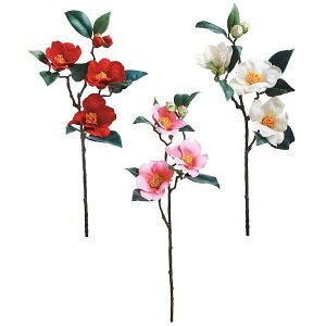 y ցzcoL ΂iԁEA[gt[j