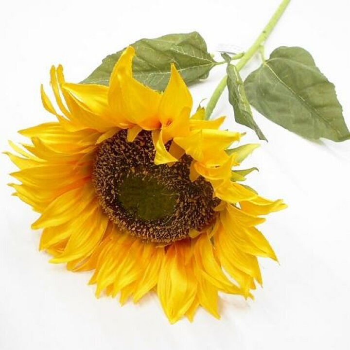 楽天市場 ヒマワリ造花 リアル造花 ひまわり サンフラワー 花径21cm 1輪 フラワーデコレーション ハセガワ