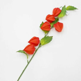 【造花 ほおずき】ホオズキ 実6個付（造花・アートフラワー）