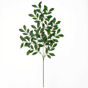  qTJL rVR VVL P 67cmi_I  tFCNO[EtElHϗtAj