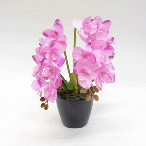 y Ӓz~jR`E|bgi~jI[Lbh Aj