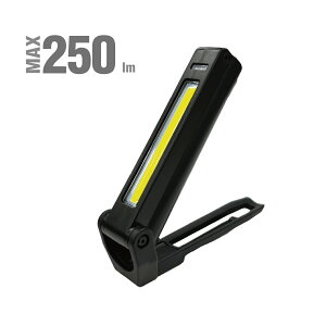 AXBRAIN@AbNXu[@AWL-250CF@[d@LED|Pbg@[NCg@LED@Ɩ@Cg@[d@hJ^