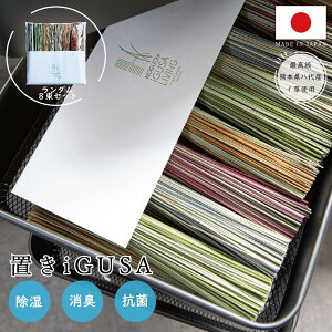  hCt[ u XeBbN  fBt[U[ A} u^ { Y 킢 Y u CeA Mtg 蕨  ꂢ  t[