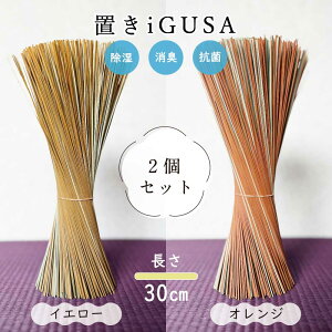 Y XeBbN ԍ hCt[ u 30cm 100g F{YCeA L R tOX a_ AW Mtg 蕨   i` ãCeA 