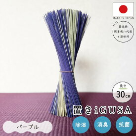 国産 いぐさスティック 花材 ドライフラワー 置きいぐさ 30cm 100g 熊本八代産インテリア 消臭 抗菌 フレグランス 和モダン アレンジ ギフト 贈り物 おしゃれ 癒し ナチュラル 和のインテリア スワッグ 玄関 リビング 日本製 手染め 天然い草 野口いぐさ