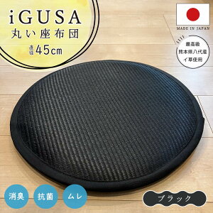 Y 傫ۍzc 45cm `FApbh 肪ɂȂȂ ӂNbV ֎qp O ~ { k  킢 ~ Ăɗ a m rO q