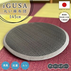 Y 傫ۍzc 45cm `FApbh 肪ɂȂȂ ӂNbV ֎qp O ~ { k  킢 ~ Ăɗ a m rO q
