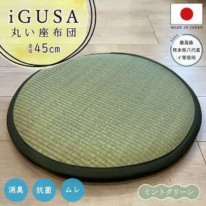 Y 傫ۍzc 45cm `FApbh 肪ɂȂȂ ӂNbV ֎qp O ~ { k  킢 ~ Ăɗ a m rO q