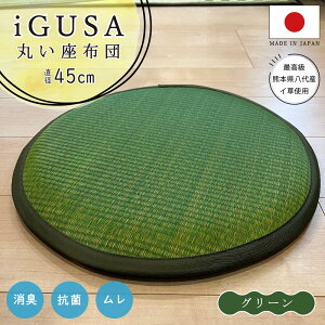 Y 傫ۍzc 45cm `FApbh 肪ɂȂȂ ӂNbV ֎qp O ~ { k  킢 ~ Ăɗ a m rO q